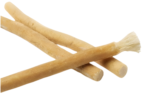 Miswak Zahnbürste