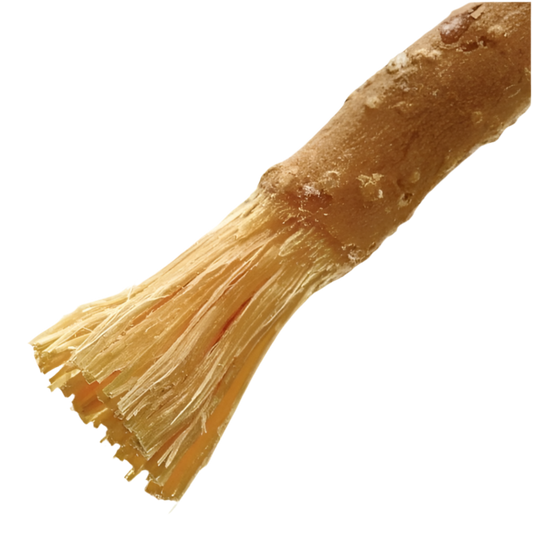 Miswak Zahnbürste