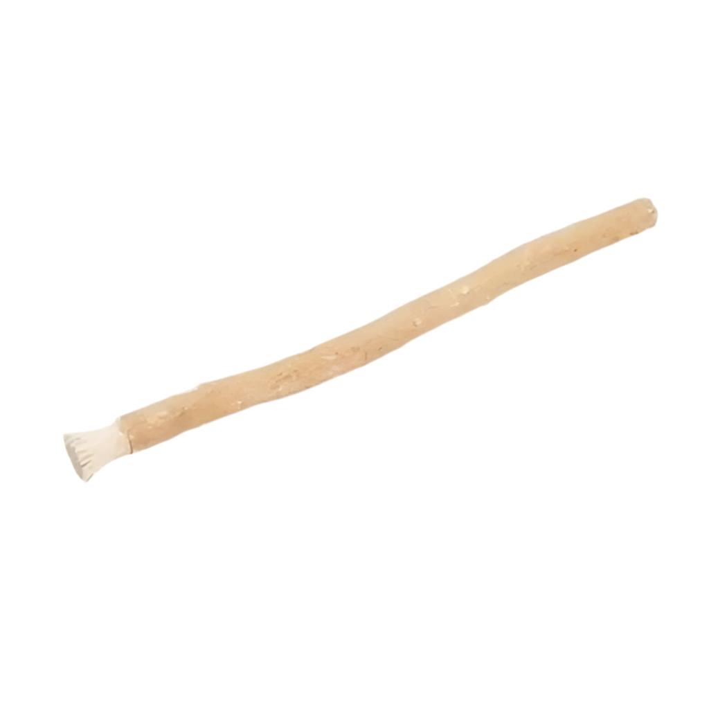 Miswak Zahnbürste