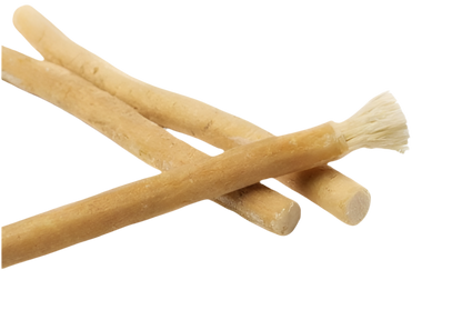 Miswak Zahnbürste
