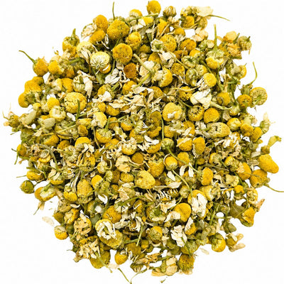 Gänseblümchen